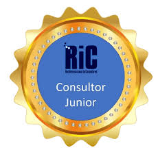 Consultor Junior